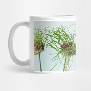 Allium vineale  'Hair' Mug